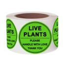 Adesivos Remarkable Live Plants Handle with Care 2cm Green 250 Adesivos Remarkable Live Plants Handle with Care 2cm Green 250