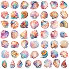 Adesivos Seashell, 50 peças, com tema oceânico colorido, vinho impermeável Adesivos Seashell, 50 peças, com tema oceânico colorido, vinho impermeável