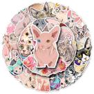 Adesivos Sphynx Hairless Cat Anime Cartoon 50 unidades de PVC