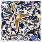 Adesivos Swallow Waterproof Vinil Graffiti Decalques 50 unidades Adesivos Swallow Waterproof Vinil Graffiti Decalques 50 unidades