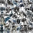 Adesivos transparentes, esqueleto de animal, estilo X-Ray, 50 unidades