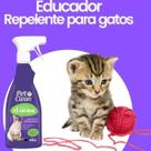 Adestramento Educador Gato Xixi Stop Xô Gatinho Lugar Errado Repelente
