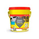 Aditivo Chapix Blanco Quartzolit 18l - Quartzolit Aditivo Chapix Blanco Quartzolit 18l - Quartzolit
