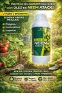 Adjuvante a Base de Óleo Vegetal Neem Puro 1 Litro Atack Eficiente
