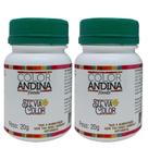 Adoçante dietético Stévia Color Andina Food, 2 potes de 20g