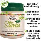 Adoçante Natural de Stévia em Pó 10g Color Andina Sem Sabor Residual Amargo