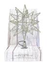 Adorno para Árbol Estrella Microdot LED Dorada 25 cm 1 pza