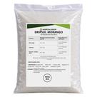 Adubo Dripsol Morango 3kg SQM Vitas - Para Hidroponia e Fertirrigação