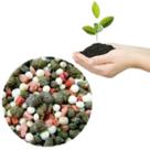 Adubo Fertilizante Forth Cactos 1 Litro Orgânico Faz 200 L Adubo Fertilizante Forth Cactos 1 Litro Orgânico Faz 200 L