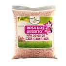 Adubo NPK 200520 para Rosa do Deserto Floração e Fortalecimento Variação de KG