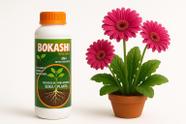 Adubo Para Orquidea Vai Estimular a Floração Adubo Para Orquidea Vai Estimular a Floração