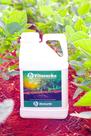 Adubo Premium, Turfa Liquida, Leonardita, ACIDO HUMICOS E FULVICOS, VITACARBO BIOTURFA