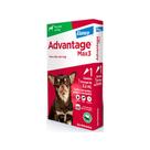 Advantage Max3 Cães Ate 4kg Combo 3 Pipetas