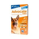 Advocate Elanco 4,0 mL para Cães de 25 Kg até 40 Kg - 1 Bisnaga Advocate Elanco 4,0 mL para Cães de 25 Kg até 40 Kg - 1 Bisnaga
