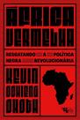 África Vermelha - Resgatando A Política Negra Revolucionária