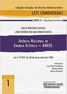 Agência Nacional de Energia Elétrica - ANEEL - Volume 1
