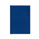 Agenda Diária 328 Folhas Jaspe Azul 2023 - Redoma