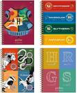Agenda planejamento espiral univ cd 192pgs harry potter fsc jandaia 7478024