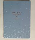 Agenda planner grampeado soho 2020 Tilibra azul Agenda planner grampeado soho 2020 Tilibra azul