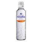 Água Com Gás Premium Minalba 300ml