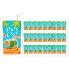 Água de Coco Puro Coco de Maracujá Maguary 180ml 27un
