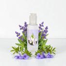Água de Melissa na Umbanda e Candomblé Purificação Proteção Equilíbrio Espiritual