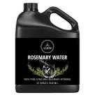 Água Hydrosol Naturevibe Botanicals Rosemary 946 ml 100% pura