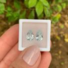 Água Marinha Gota Par 2,94ct