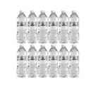 Água mineral Lindoya Verao 510ml fardo com 12 unid Sem/gás