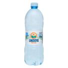 Água Mineral Lindoya Verão 900ml