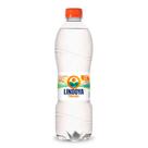 Água Mineral Lindoya Verão com Gás 510ml