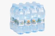 Água Mineral Natural Sem Gás Lindoya Verão Fardo C/12 510ml