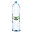 Água Verão Sem Gás Lindoya 1,5L