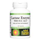 Ajuda digestiva, fatores naturais, enzima lactase, 60 cápsulas Ajuda digestiva, fatores naturais, enzima lactase, 60 cápsulas