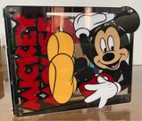 Álbum Acrílico Mini Disney Álbum Acrílico Mini Disney