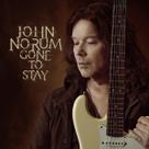 Álbum de Música Gain Gone To Stay