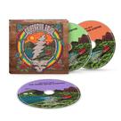Álbum de música Grateful Dead A música nunca parou (ao vivo)