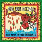 Álbum musical Giant Records Best of Big Mountain