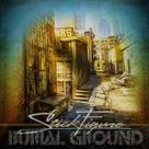 Álbum Stick Figure Burial Ground Lacrado de Fábrica Novo Álbum Stick Figure Burial Ground Lacrado de Fábrica Novo
