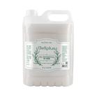 Álcool em Gel Antisséptico Antibacteriano 5 Litros