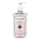 Álcool em Gel Higienizante Antisséptico Classic 500ml - Giovanna Baby