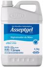 Alcool gel 70 antisseptico 5l asseptigel