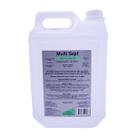 Álcool Gel Antisséptico 5 Litros Mult Sept Álcool Gel Antisséptico 5 Litros Mult Sept