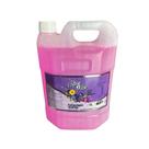 Álcool Perfumado para Limpeza Perfuma Limpa Desengordura Brisa Flora ou Estilo 5 Litro Hiper Plus