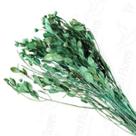 Alecrin Desidratado Buque Flores Secas Alecrin Desidratado Buque Flores Secas