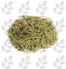 Alfafa 100g Medicago sativa - L. Londriervas