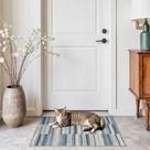 Alfombra Jinchan Azul Ultra Fina Antideslizante 61x91 cm para Interior