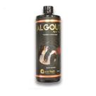 Algicida Algout Oceantech 500 ml anti algas uso em Aquário