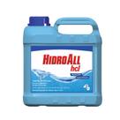 Algicida De Manutenção HCL - HidroAll 5L