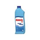 Algicida Manutenção HCL Hidroall 1L